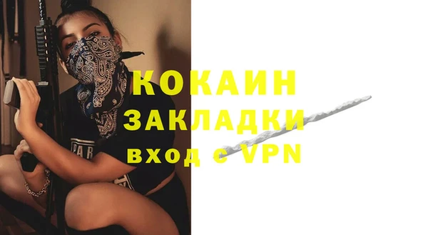 индика Абинск