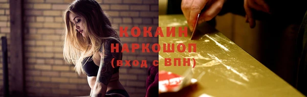 индика Абинск
