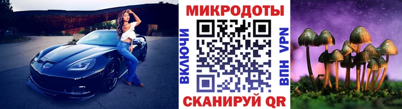 Псилоцибиновые грибы Magic Shrooms  закладка  Елизаветинская 